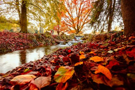Autumn Stream Serenity — 150-piece jigsaw puzzle