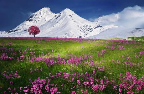 Blooming Valley Panorama — 100-piece jigsaw puzzle