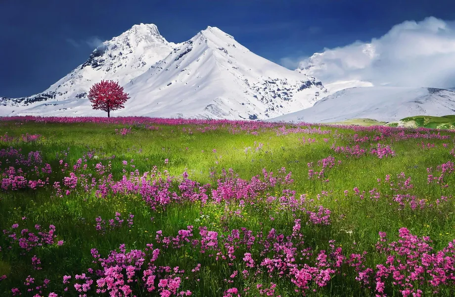 Blooming Valley Panorama — 100-piece jigsaw puzzle