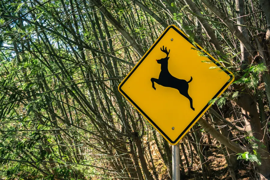 Playful Deer Sign — 150-piece jigsaw puzzle