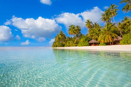 Tropical Paradise Escape — 200-piece jigsaw puzzle