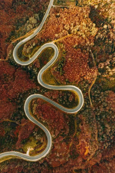 Kronkelende herfstweg — 100-stukjes legpuzzel