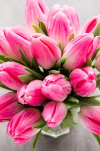 Vibrant Pink Tulips — 200-piece jigsaw puzzle
