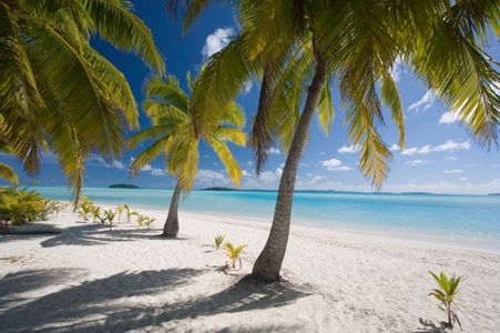 Tropical Beach Escape — 200-piece jigsaw puzzle