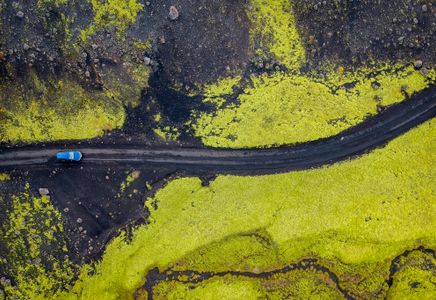 Winding Road on Moss — 300-piece jigsaw puzzle
