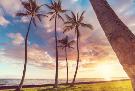 Tropical Sunset Serenity — 150-piece jigsaw puzzle