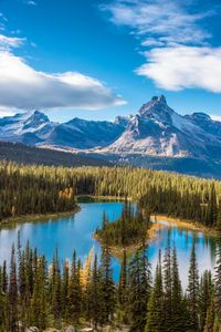Majestic Mountain Landscape — 100-piece jigsaw puzzle