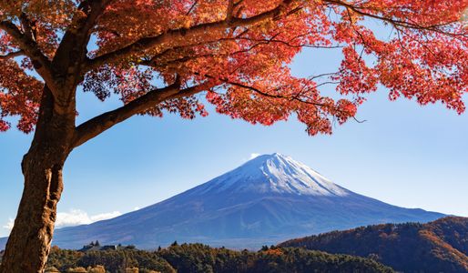 Autumn Glory — 300-piece jigsaw puzzle