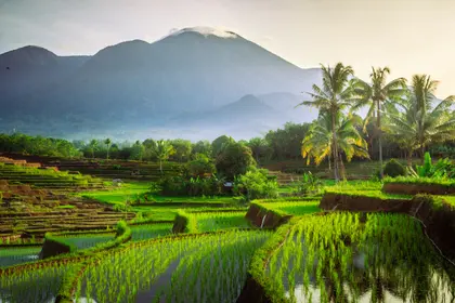 Rice Terraces Beneath Misty Mountains — 54-piece jigsaw puzzle