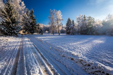 Winter Woodland Path — 200-piece jigsaw puzzle