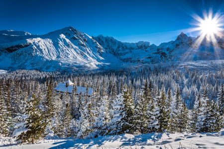 Winter Mountain Cabin — 300-piece jigsaw puzzle