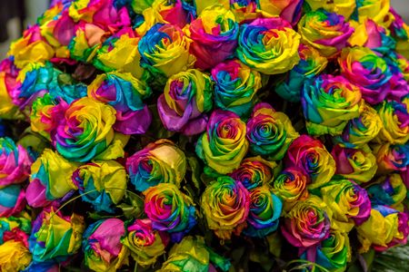 Vivid Rainbow Roses — 100-piece jigsaw puzzle