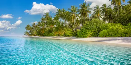 Tropical Paradise Escape — 64-piece jigsaw puzzle