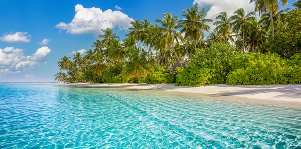 Tropical Paradise Escape — 64-piece jigsaw puzzle