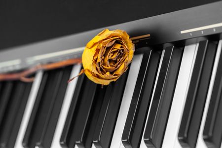 Melancholy Melody — 400-piece jigsaw puzzle