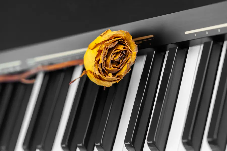 Melancholy Melody — 400-piece jigsaw puzzle