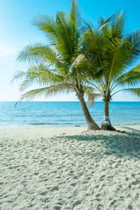 Tropical Beach Bliss — 100-piece jigsaw puzzle