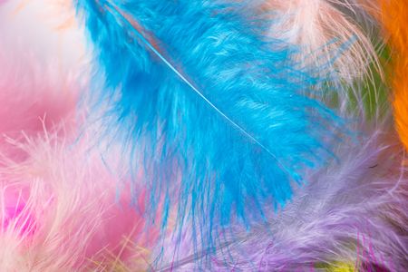 Colorful Feather Dream — 200-piece jigsaw puzzle