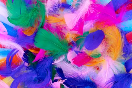Vibrant Feather Cascade — 200-piece jigsaw puzzle