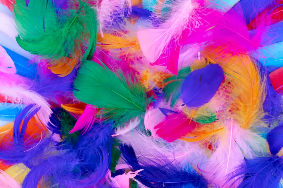 Vibrant Feather Cascade — 200-piece jigsaw puzzle