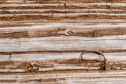 Textura zvětralého dřeva — 300 dílné puzzle