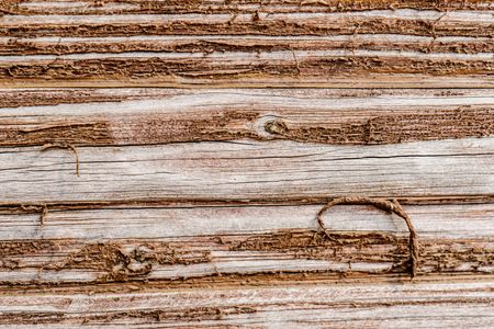 Weathered Wood Texture — 300-piece jigsaw puzzle