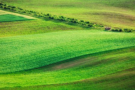 Vibrant Green Hills — 100-piece jigsaw puzzle