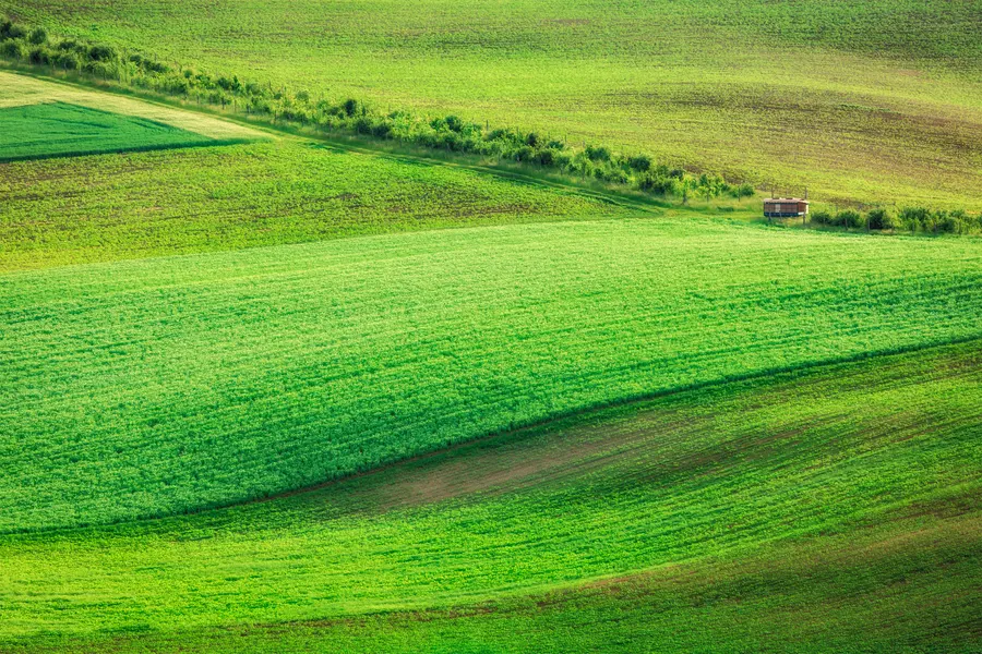 Vibrant Green Hills — 100-piece jigsaw puzzle