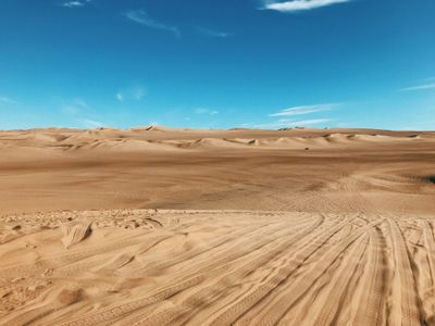 Endless Desert Waves — 64-piece jigsaw puzzle
