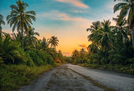 Sunset in Tropical Oasis — 500-piece jigsaw puzzle
