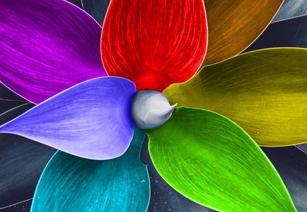Vibrant Petal Symmetry — 100-piece jigsaw puzzle