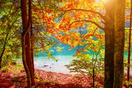 Autumn Lake Glow — 400-piece jigsaw puzzle