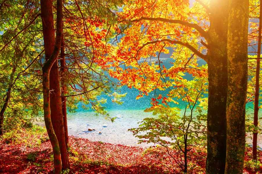 Autumn Lake Glow — 400-piece jigsaw puzzle