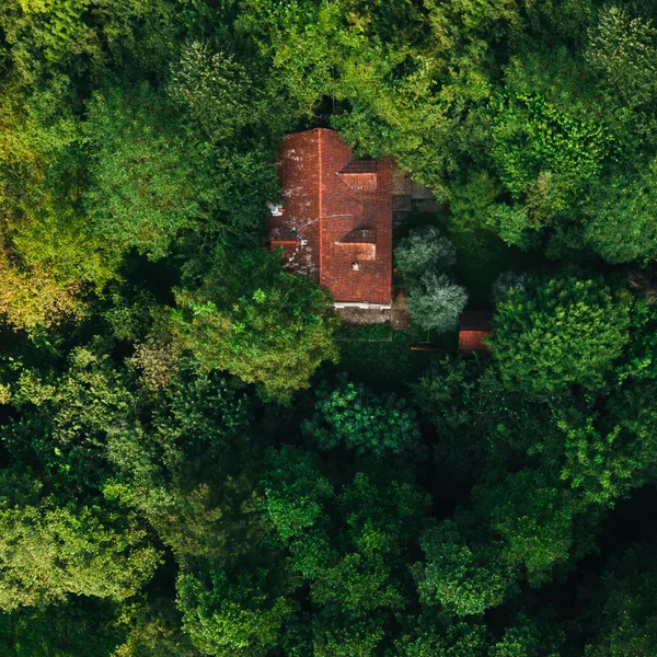 Hidden Forest Home — 64-piece jigsaw puzzle