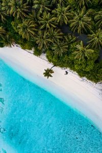 Tropical Serenity — 100-piece jigsaw puzzle