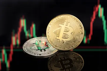 Bitcoin Trading Dynamics — 300-piece jigsaw puzzle