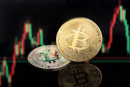 Bitcoin Trading Dynamics — 300-piece jigsaw puzzle