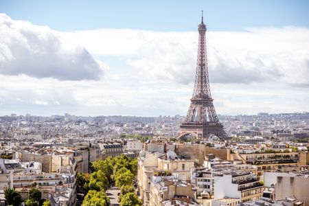 Parisian Skyline Elegance — 100-piece jigsaw puzzle
