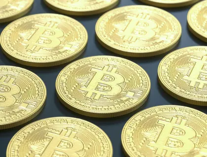 Golden Bitcoins — 64-piece jigsaw puzzle