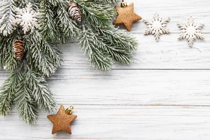 Frosted Holiday Charm — 300-piece jigsaw puzzle