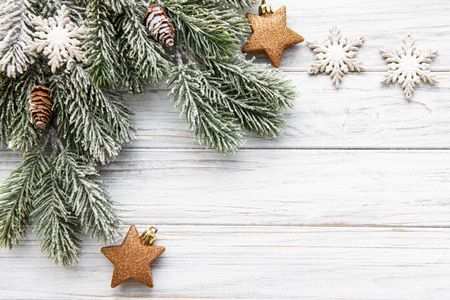 Frosted Holiday Charm — 300-piece jigsaw puzzle