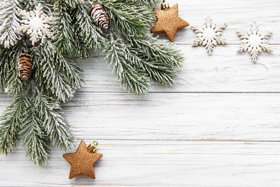 Frosted Holiday Charm — 300-piece jigsaw puzzle