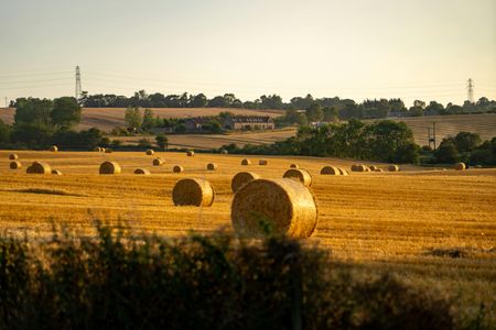 Golden Hay Bales — 100-piece jigsaw puzzle
