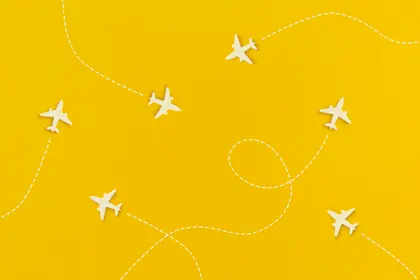 Flight Paths in Motion — 300-piece jigsaw puzzle