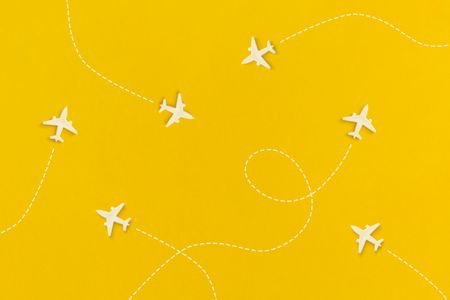 Flight Paths in Motion — 300-piece jigsaw puzzle