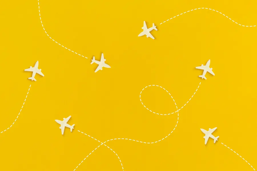 Flight Paths in Motion — 300-piece jigsaw puzzle