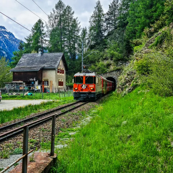 Alpine Train Journey — 200-piece jigsaw puzzle