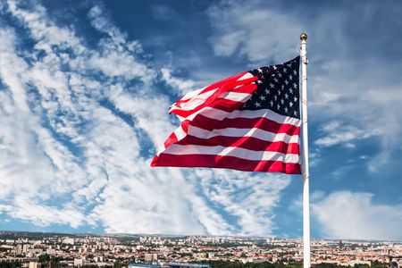 Flag in the Breeze — 150-piece jigsaw puzzle