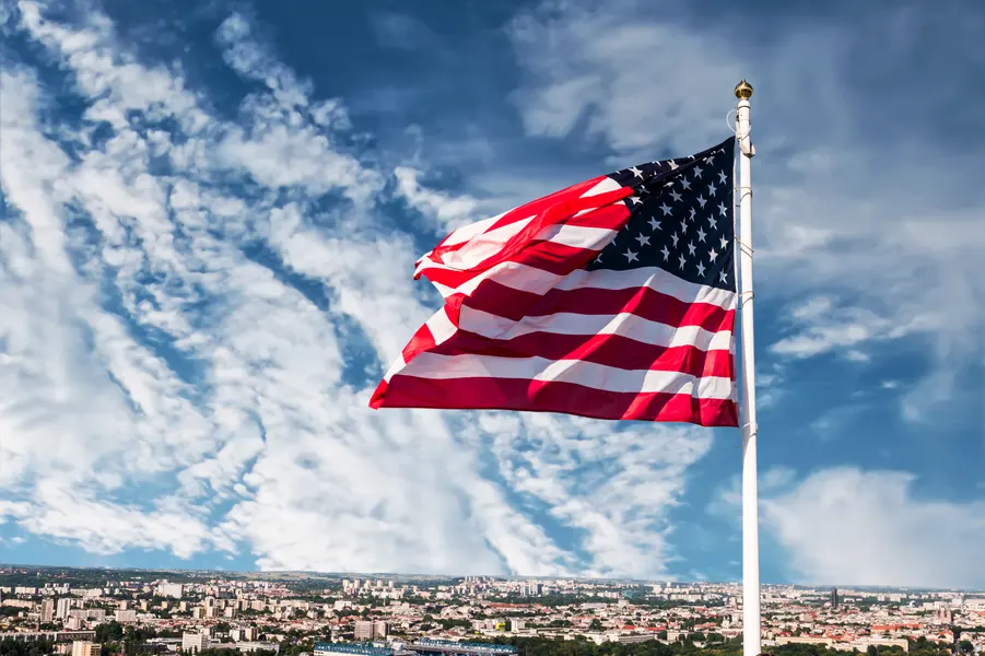 Flag in the Breeze — 150-piece jigsaw puzzle