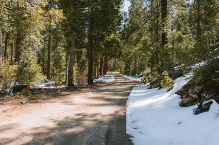 Path Through Winter Forest — 200-piece jigsaw puzzle